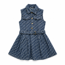 D DENIM DRESS